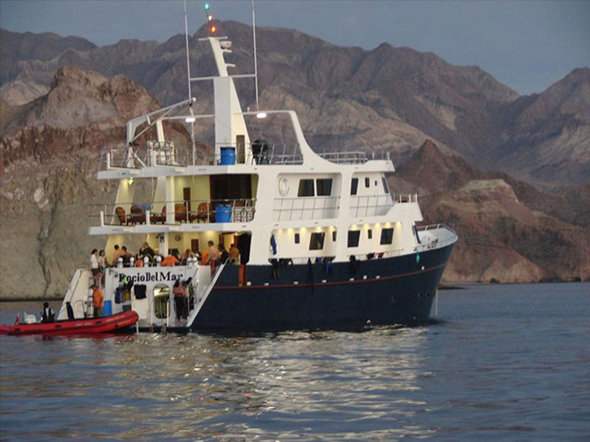 Rocio del Mar at the Socorro Islands