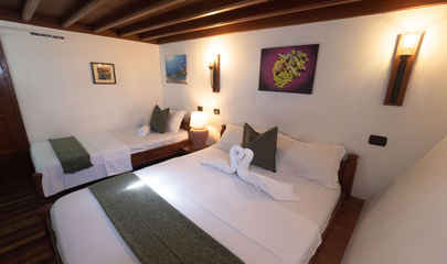 Standard Double/Twin Cabins