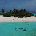 Marine Life - EcoPro Moonima