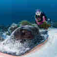 Marine Life - EcoPro Moonima