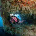 Marine Life - EcoPro Moonima