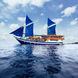 Raja Ampat Explorer