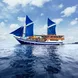 Raja Ampat Explorer