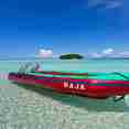 #tendersfordiving  - MV Raja Ampat Explorer