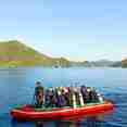 #tendersfordiving  - MV Raja Ampat Explorer
