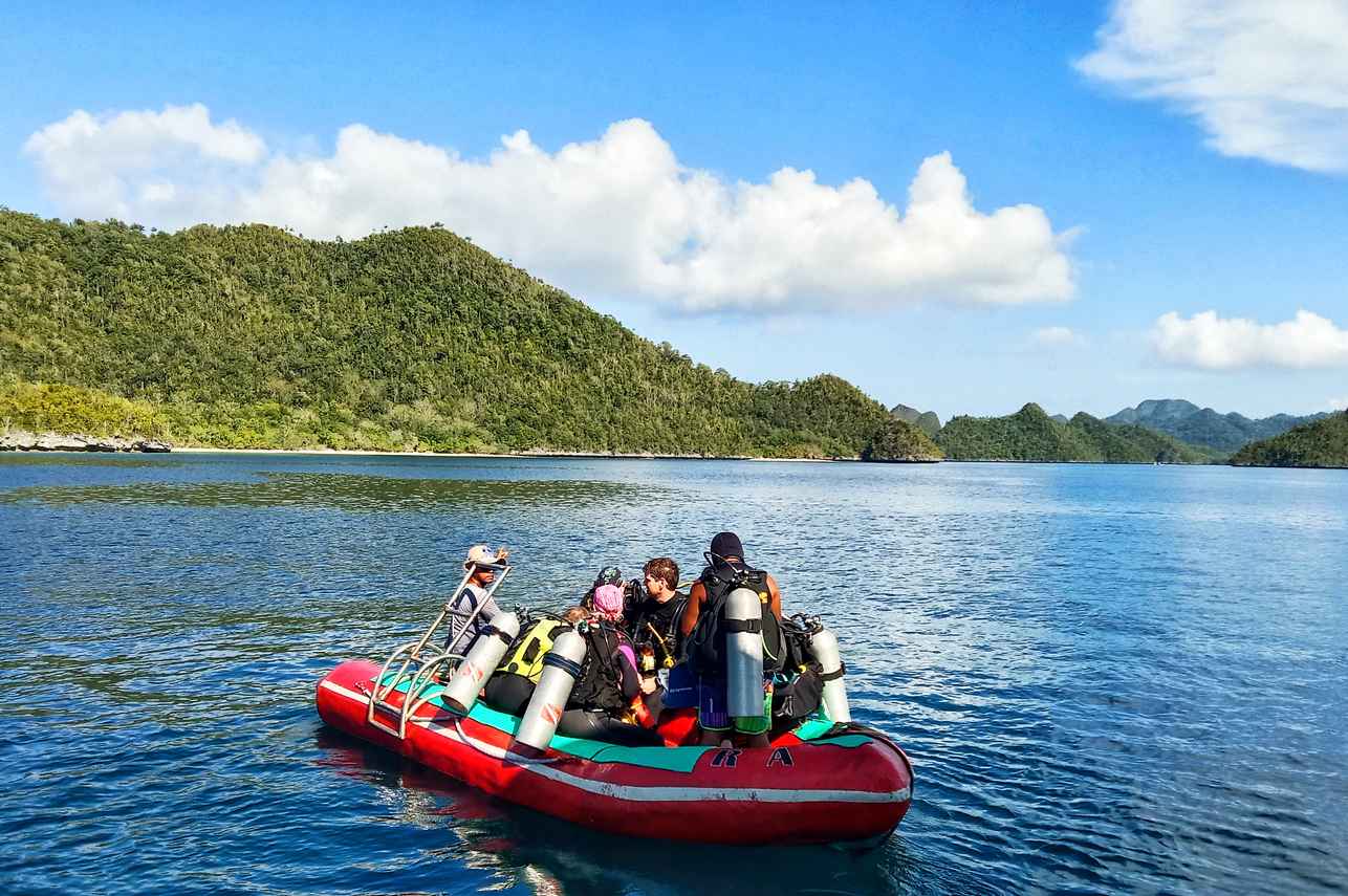 #tendersfordiving  - TemuKira