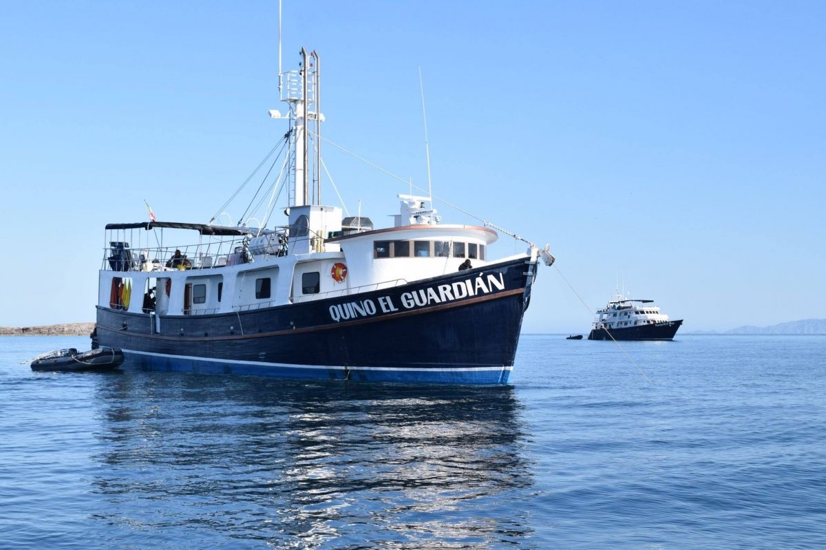 Quino el Guardian, Mexico - LiveAboard.com