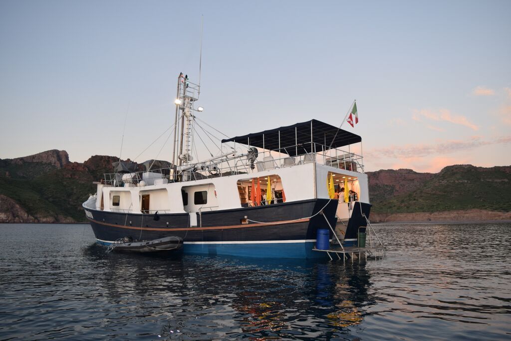 Quino el Guardian Liveaboard Socorros