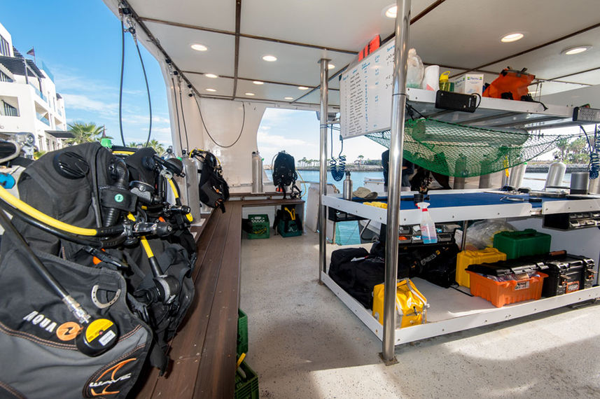 Dive deck - Quino el Guardian