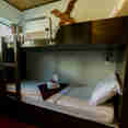 Deluxe Cabin - Pawara