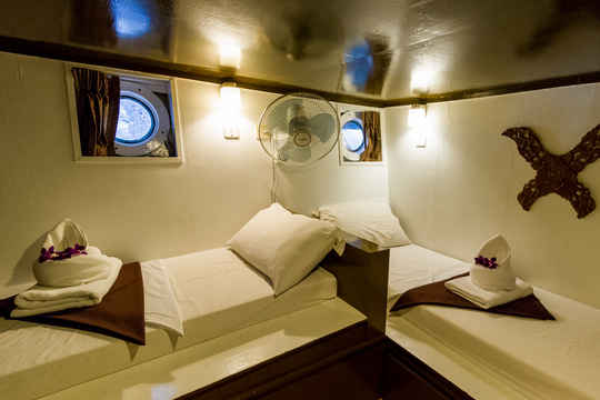 Standard Cabin