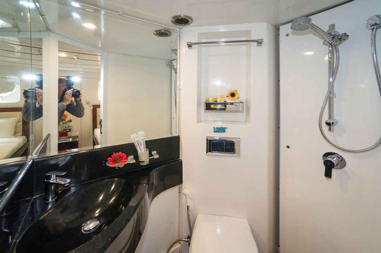 Standard Cabin - En-Suite bathroom