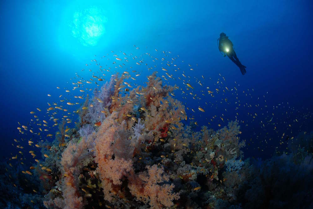 Diving at St. Johns