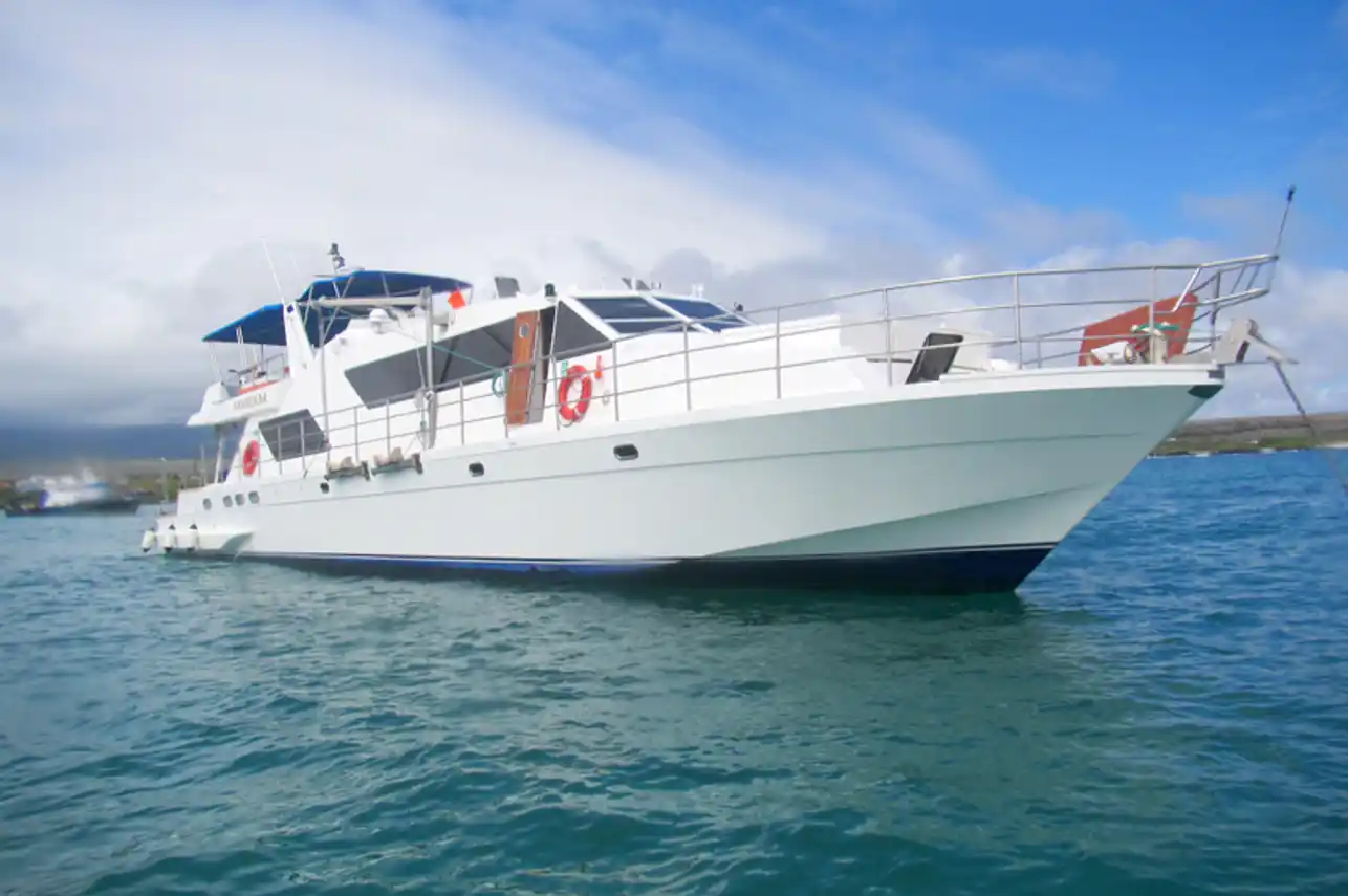 Learn more about the MV Nortada boat in our review