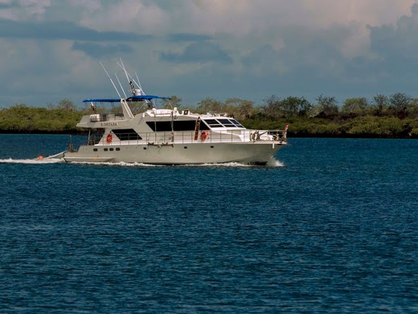 Nortada Liveaboard Galapagos