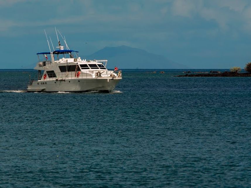 Nortada Liveaboard Galapagos