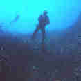 Diving