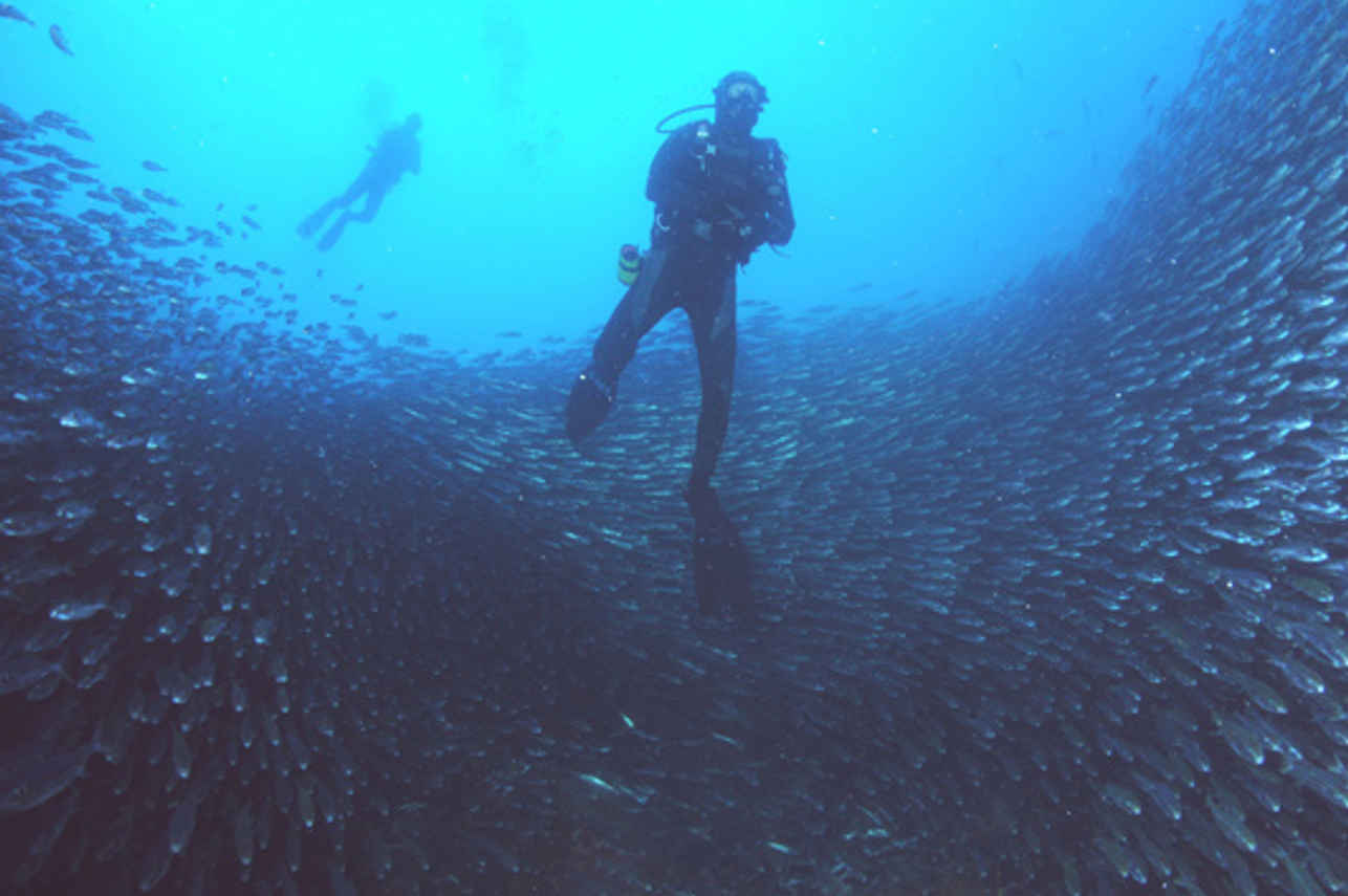 Diving