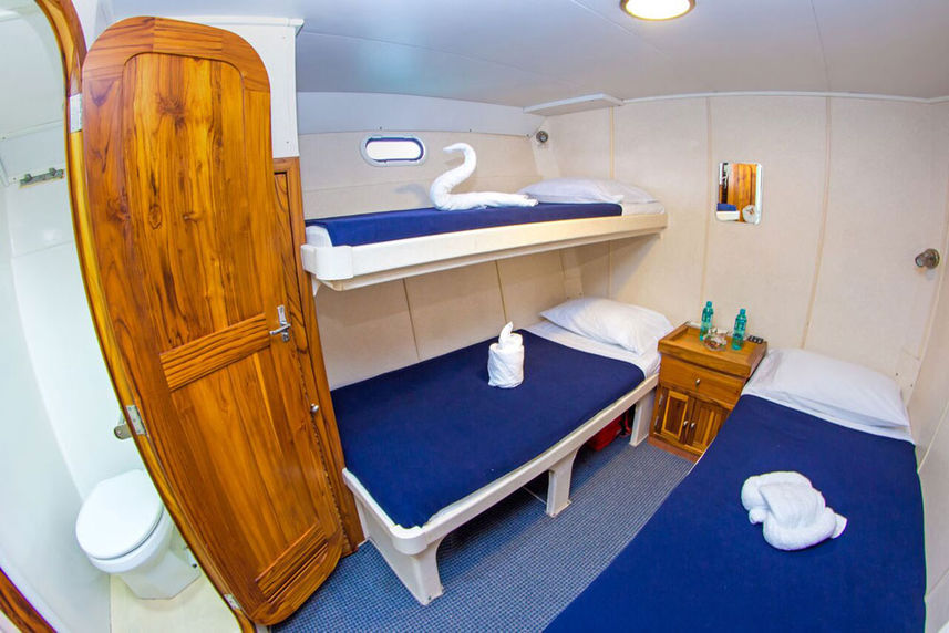 Standard Bunk Cabin - Nortada