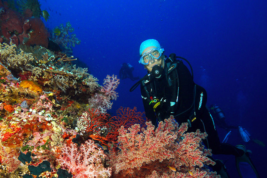 Diving Tubbataha reef