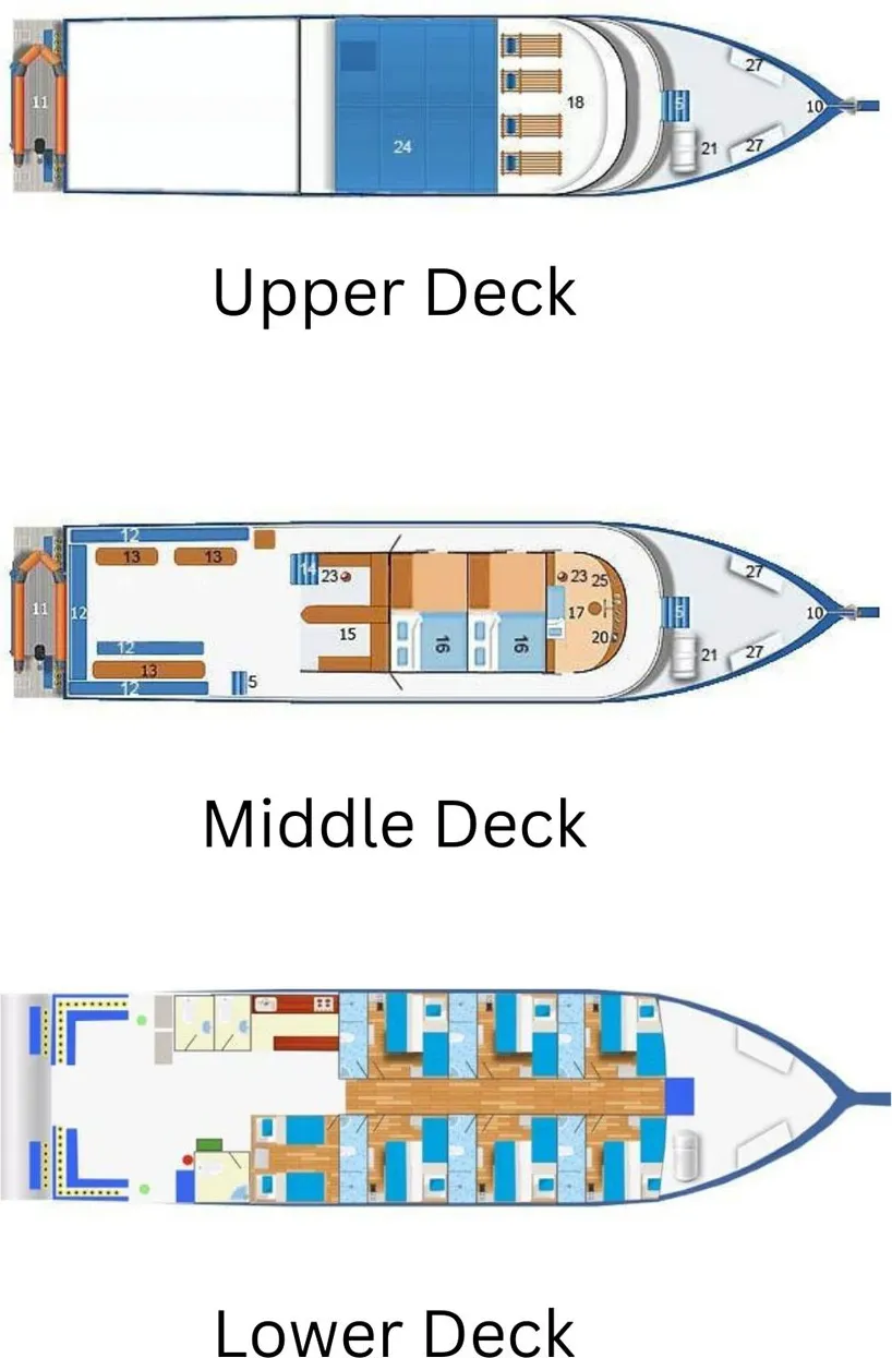 disposizione del ponte