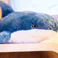 Plush Toy