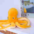 Plush Toy