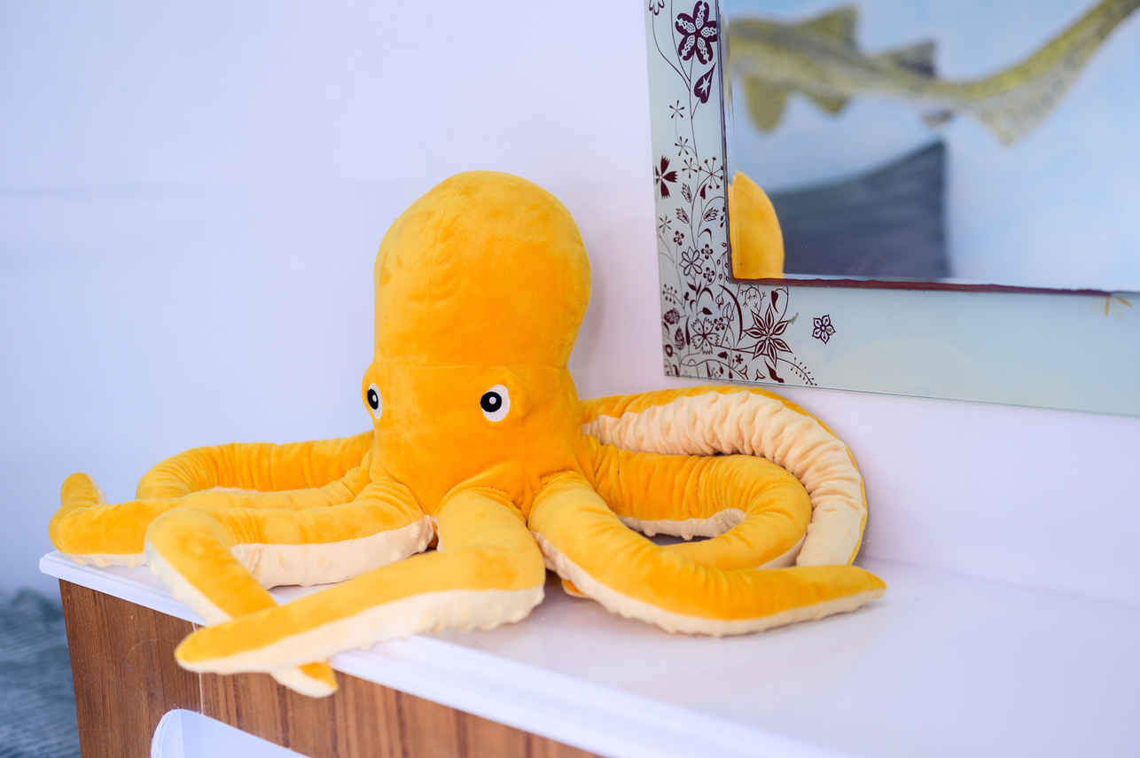 Plush Toy