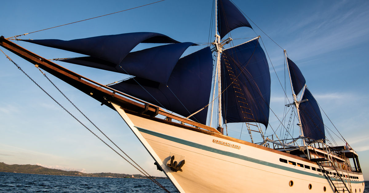 Samambaia — vessel photograph