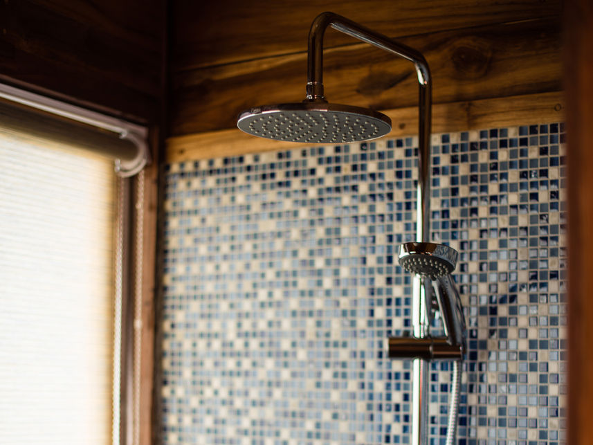 Guest Cabin Shower