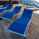 Sun Deck - Samambaia