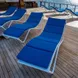 Sun Deck - Samambaia