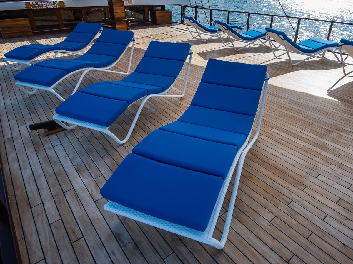 Sun Deck - Samambaia