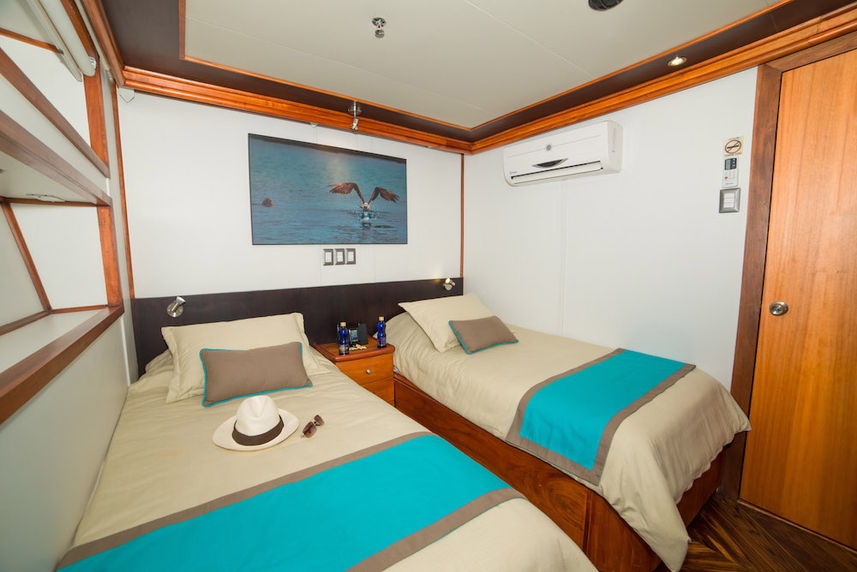 Lower deck twin room - Majestic Galapagos Yacht