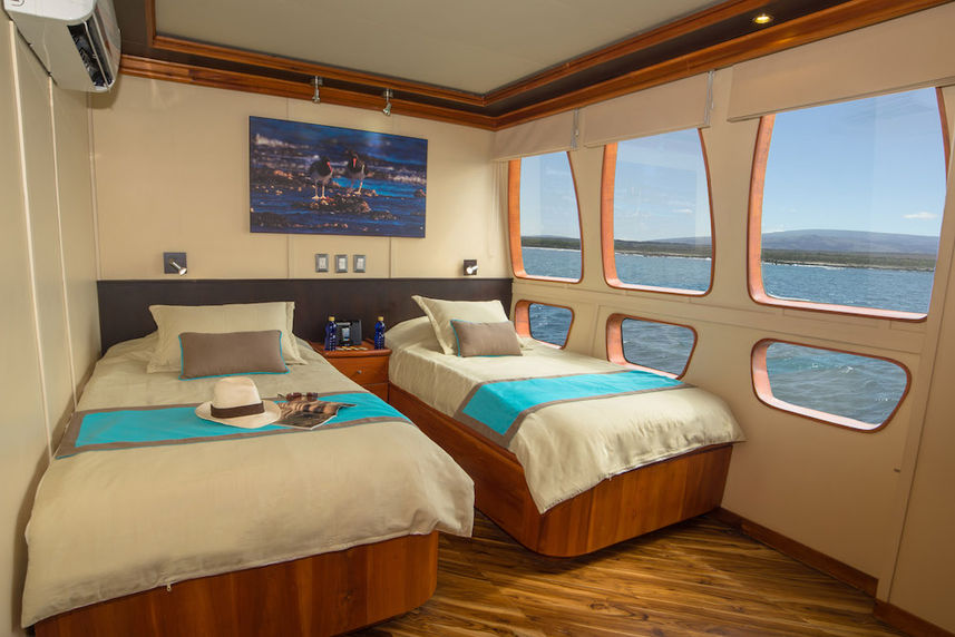 Upper deck twin cabin - Majestic Galapagos Yacht