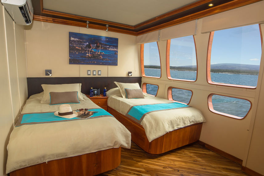 Upper deck twin cabin - Majestic Galapagos Yacht