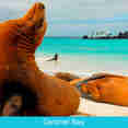 Sealions at Gardener Bay - Galapagos Expeditions