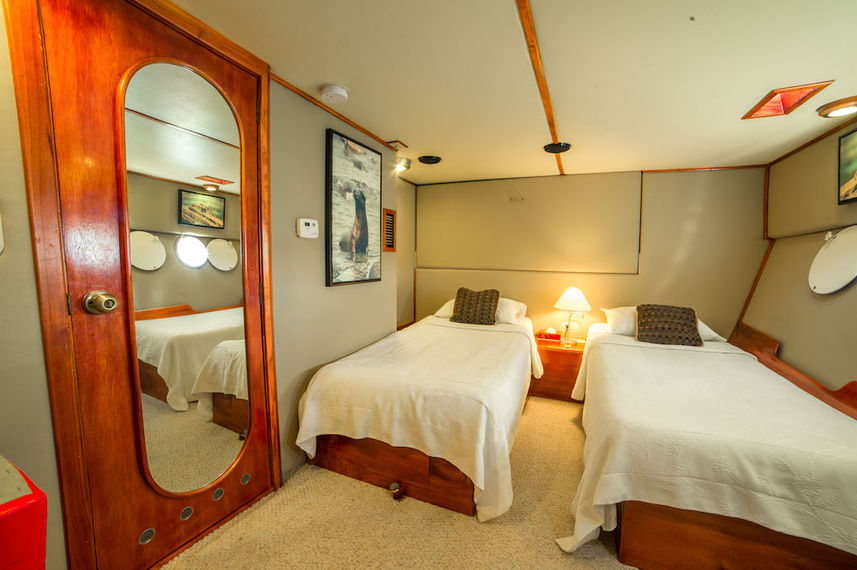 Spacious twin and double cabins - Reina Silvia Galapagos