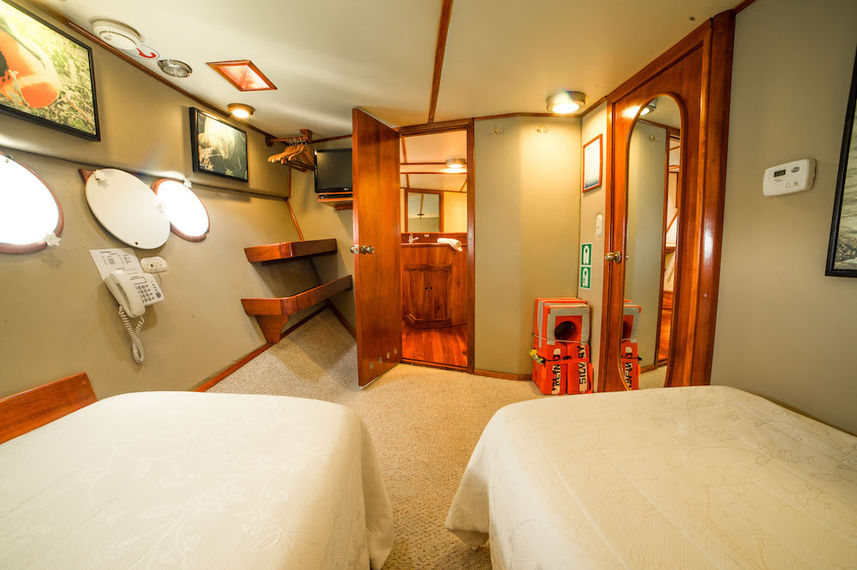 Lower deck twin cabin - Reina Silvia Galapagos