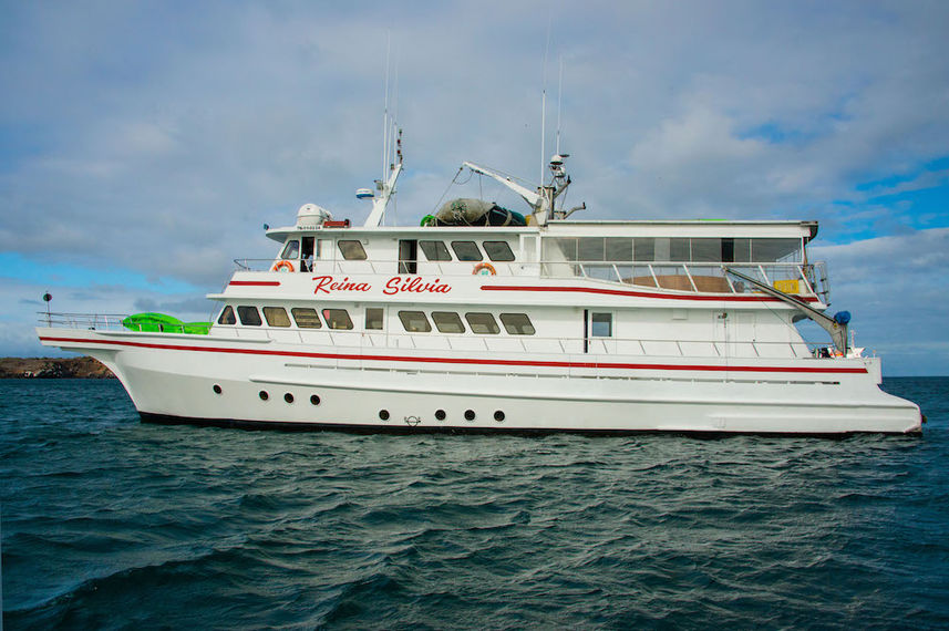 Reina Silvia