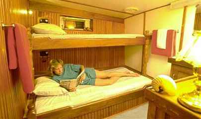 Standard Base Cabins