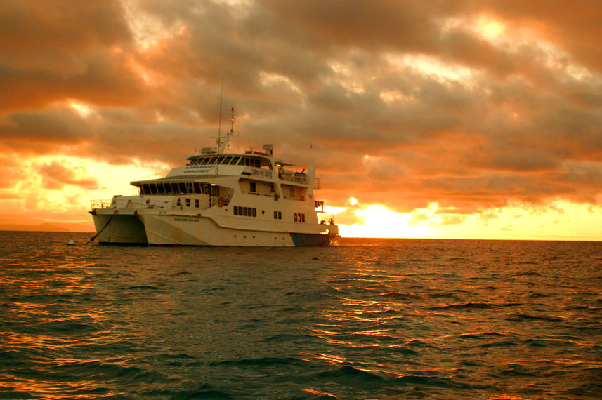 Kangaroo Explorer Australia