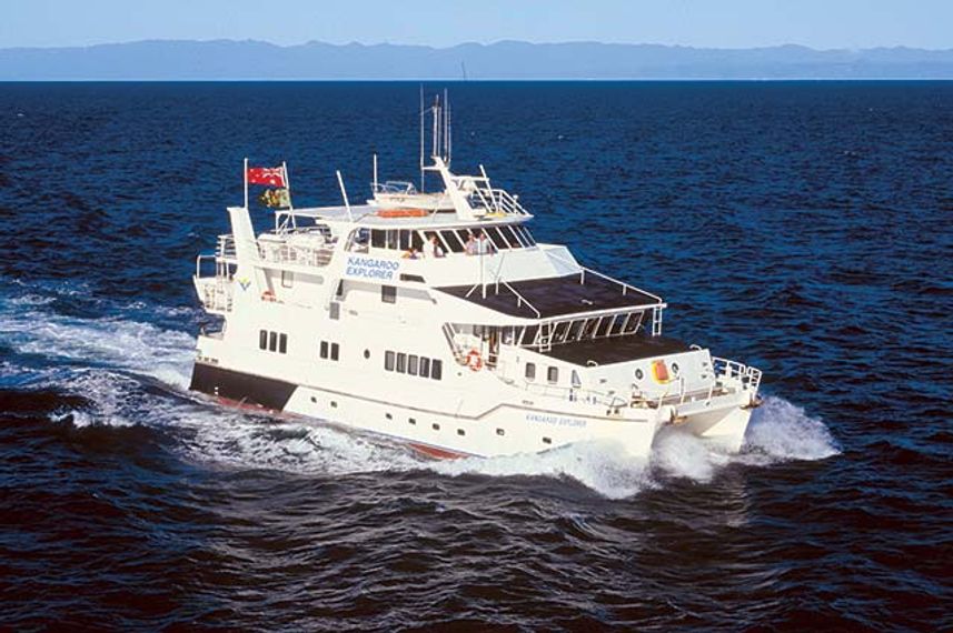 Kangaroo Explorer Australia 