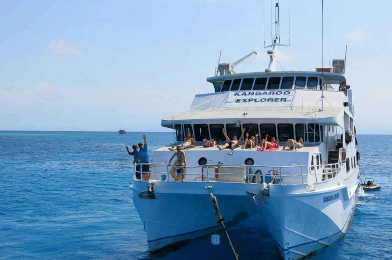 Kangaroo Explorer Australia