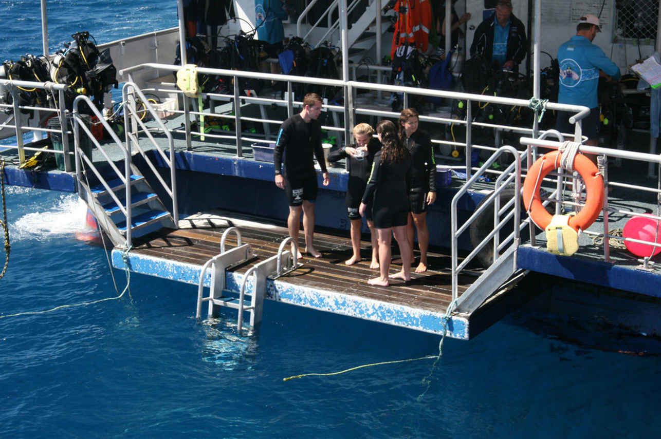 Kangaroo Explorer Australia