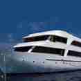 MV Ari Queen Maldives