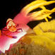 Nudibranch & Shrimp - Andaman Sea