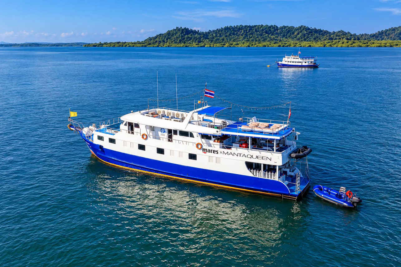 Manta Queen 7