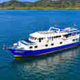 Manta Queen 7