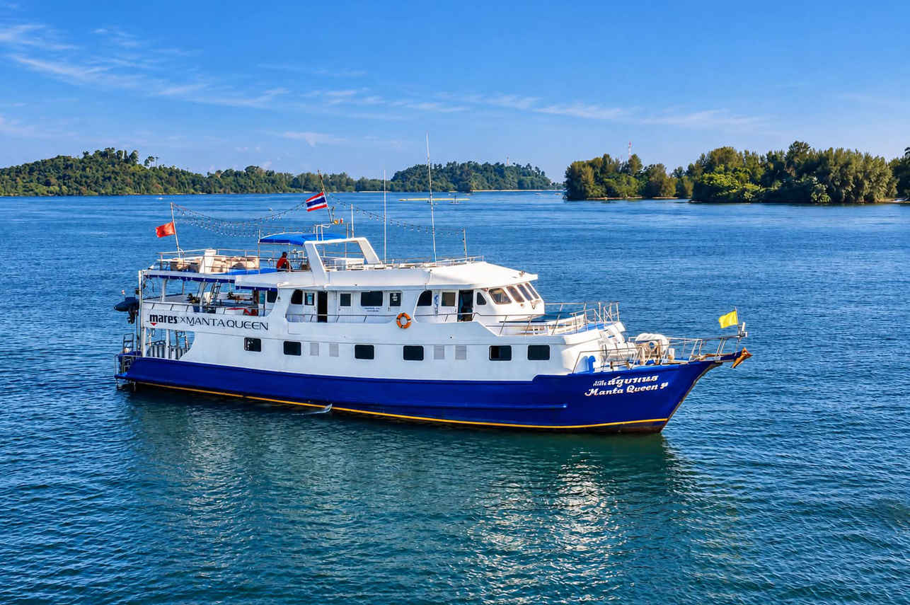 Manta Queen 7
